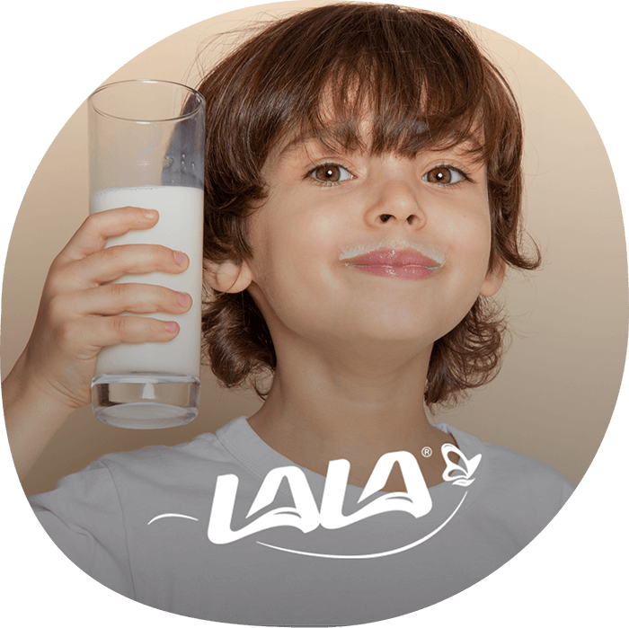 Hero vector lácteos: leche, queso, yogur, mantequilla